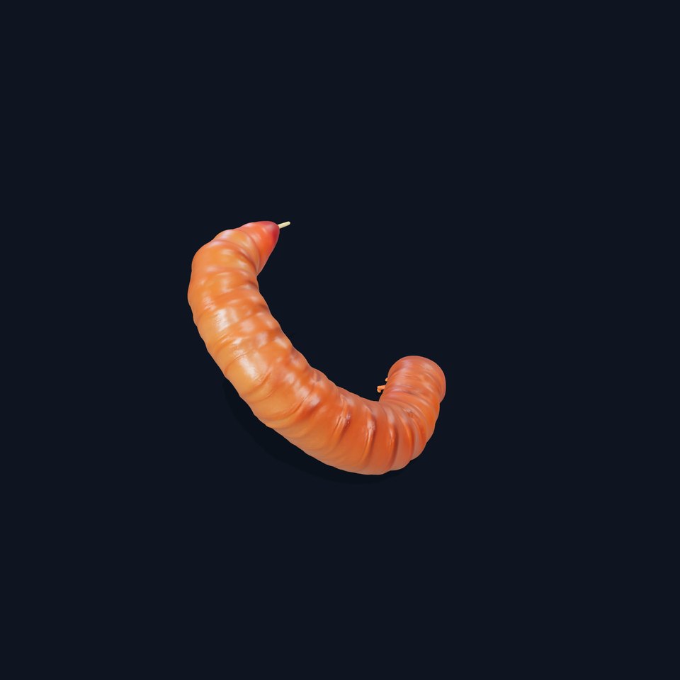 Realistic Centipede Model Pack for D Applications